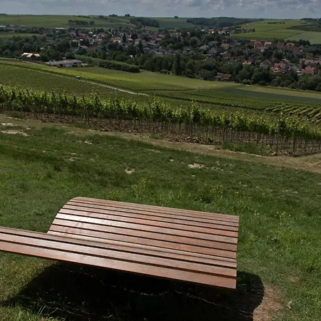 Gaestehaus Schmitt * Appenheim